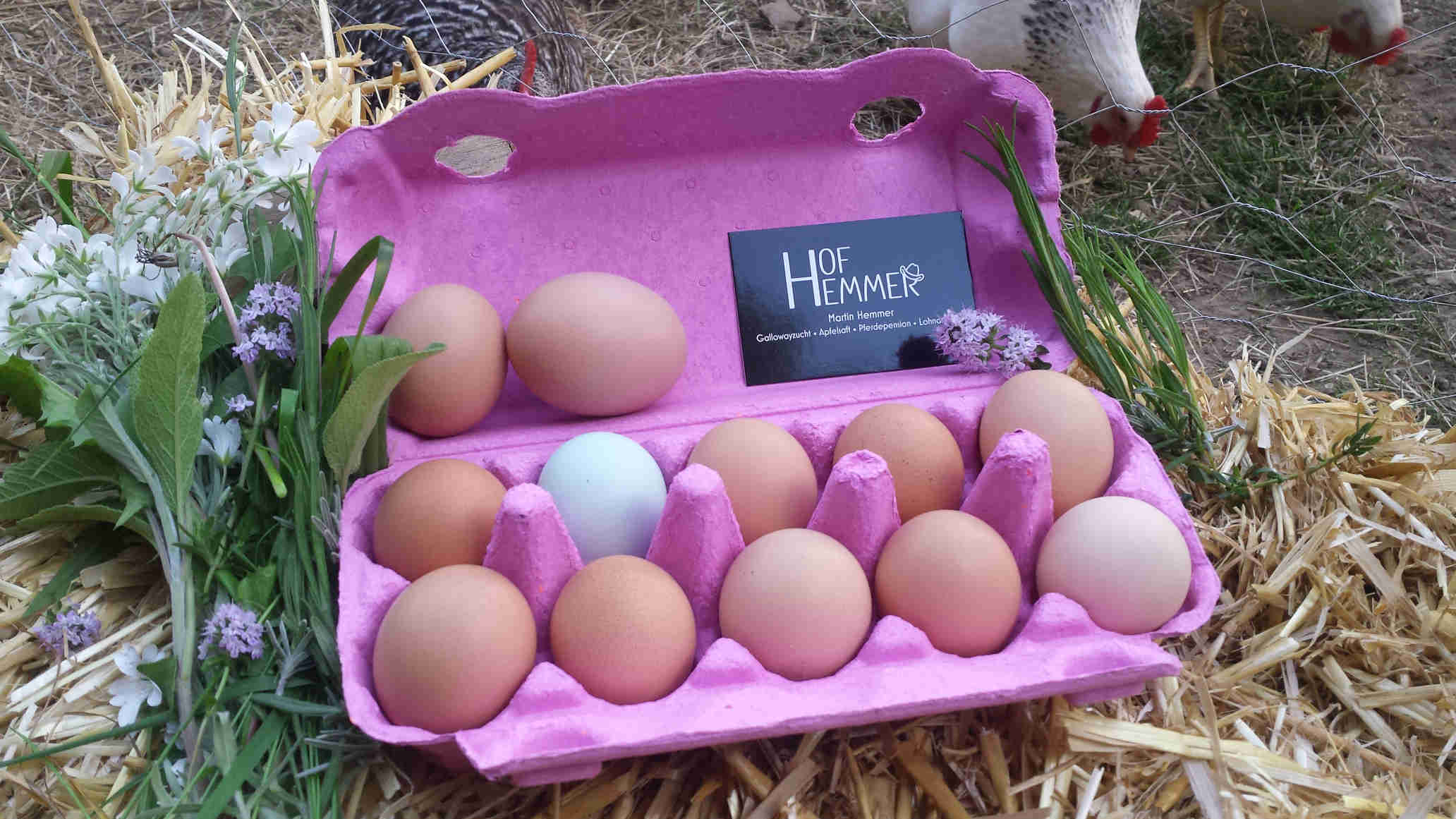 Hof Hemmer Eier